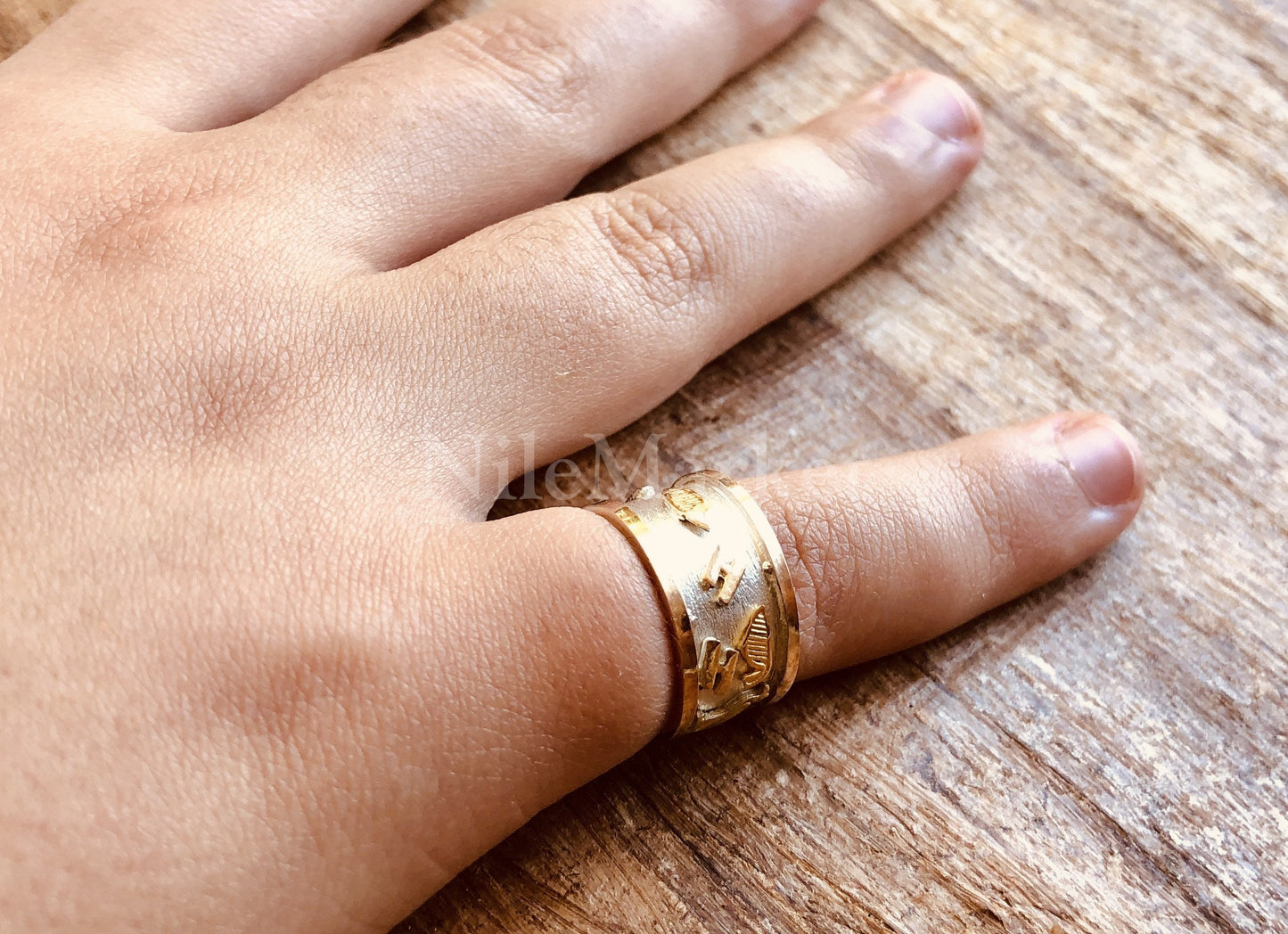 Egyptian Personalized Sterling Silver With 9K Gold Frame And Letters Cartouche Ring Express Shipping World Wide