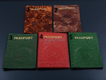 Egyptian Genuine Leather Tut Passport Wallet Holder Protector